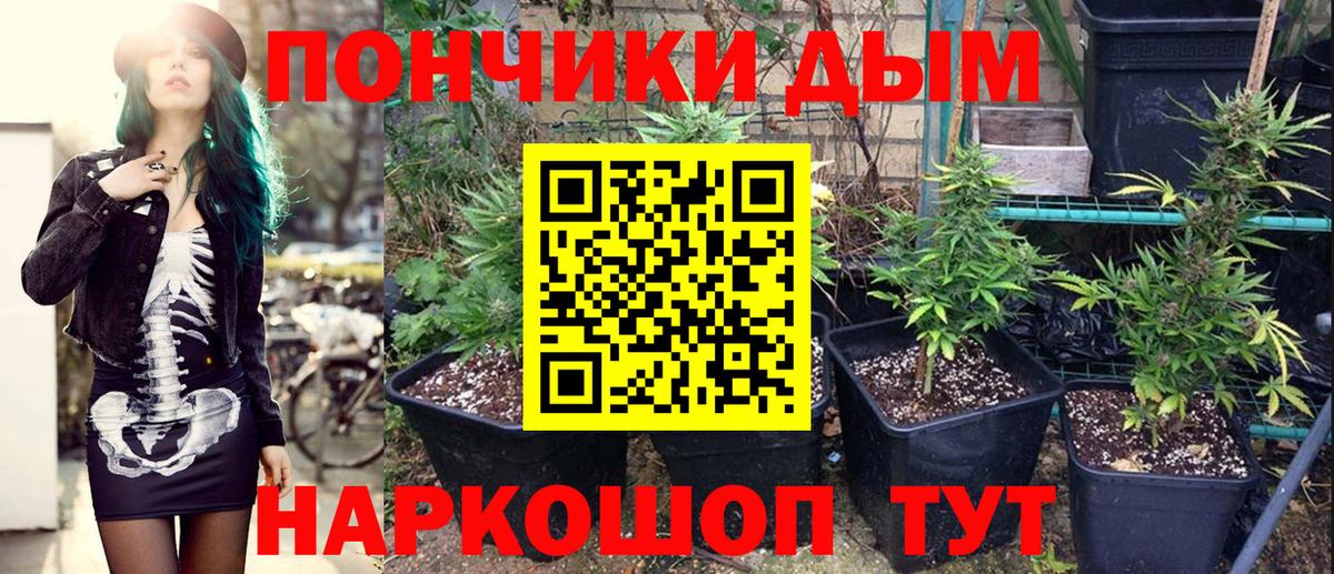 Канабис марихуана  Канабис THC 21%  Феодосия  Бошки Шишки Bruce Banner  Марихуана индика  Вход с VPN 